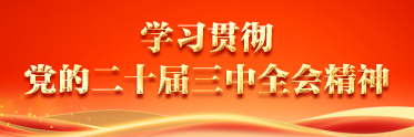 学习贯彻党的二十届三中全会精神